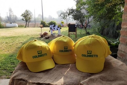 Fiera del Marrone, Coldiretti Cuneo: torna la scuola di campagna e la fattoria degli animali