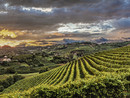 Archivio Paesaggi Vitivinicoli del Piemonte Langhe, Roero, Monferrato Unescp (Credito Carlo Avataneo) Archivio Paesaggi Vitivinicoli del Piemonte Langhe, Roero, Monferrato Unescp (Credito Carlo Avataneo)