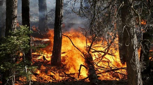 INCENDI / In Piemonte situazione in miglioramento, domani la riunione in Regione per l'emergenza idrica INCENDI / In Piemonte situazione in miglioramento, domani la riunione in Regione per l'emergenza idrica