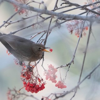 Foto di Enrico Ruggeri