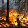 INCENDI / In Piemonte situazione in miglioramento, domani la riunione in Regione per l'emergenza idrica INCENDI / In Piemonte situazione in miglioramento, domani la riunione in Regione per l'emergenza idrica