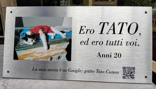 Dal Parco Safari delle Langhe di Murazzano una targa per Tato, il gatto che fece discutere l'Italia