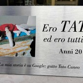 Dal Parco Safari delle Langhe di Murazzano una targa per Tato, il gatto che fece discutere l'Italia Dal Parco Safari delle Langhe di Murazzano una targa per Tato, il gatto che fece discutere l'Italia