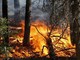 INCENDI / In Piemonte situazione in miglioramento, domani la riunione in Regione per l'emergenza idrica INCENDI / In Piemonte situazione in miglioramento, domani la riunione in Regione per l'emergenza idrica