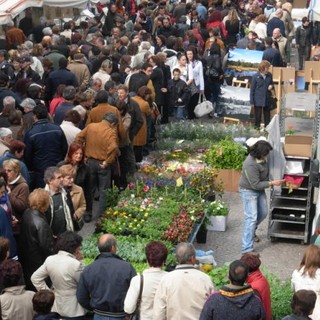 nel capoluogo torna l'attesissimo appuntamento con Cuneo in fiore