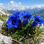 Immagine generata con l'AI