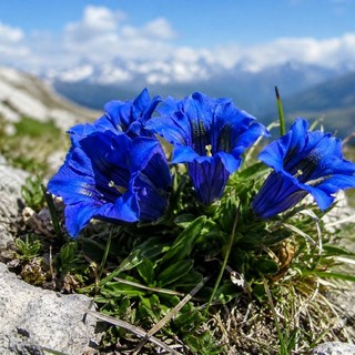 Immagine generata con l'AI
