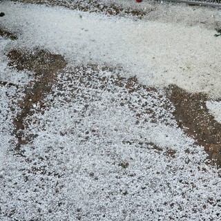 Immagine di repertorio