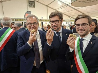 Gallo, Iberti, Gatto Gallo, Iberti, Gatto