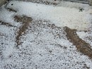 Immagine di repertorio Immagine di repertorio