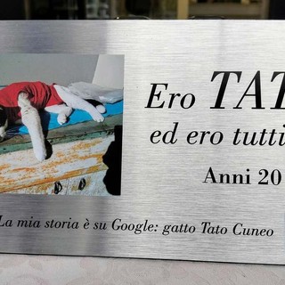 Dal Parco Safari delle Langhe di Murazzano una targa per Tato, il gatto che fece discutere l'Italia Dal Parco Safari delle Langhe di Murazzano una targa per Tato, il gatto che fece discutere l'Italia