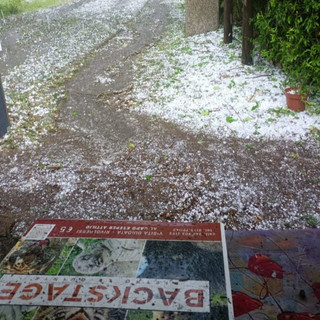 Murazzano, dopo l'intensa grandinata del 2 giugno l'appello del Parco Safari: "Animali salvi, ma strutture devastate"