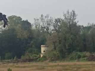 Alcuni scatti realizzati da Pro Natura Cuneo Alcuni scatti realizzati da Pro Natura Cuneo