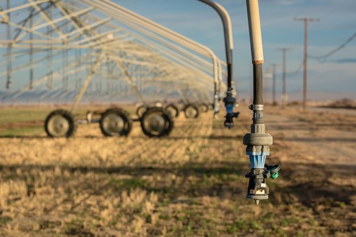 Crisi idrica, Confcooperative Piemonte: "Salvare i raccolti e aprire un tavolo permanente sull'acqua" Crisi idrica, Confcooperative Piemonte: "Salvare i raccolti e aprire un tavolo permanente sull'acqua"
