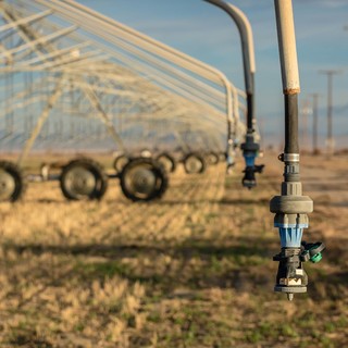 Crisi idrica, Confcooperative Piemonte: "Salvare i raccolti e aprire un tavolo permanente sull'acqua"