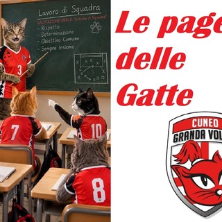 VOLLEY A1F / Imoco Conegliano-Granda Volley Cuneo 3-0, le pagelle delle Gatte