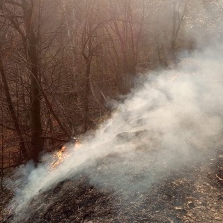 Immagine di repertorio Immagine di repertorio