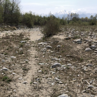 In Piemonte manca l’acqua, Arpa fa tremare i cittadini: “Potrebbe essere necessario razionarla” [VIDEO]