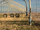 Clima, Coldiretti Cuneo: servono irrigazioni di soccorso e attenzione agli alpeggi Clima, Coldiretti Cuneo: servono irrigazioni di soccorso e attenzione agli alpeggi