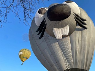 A Mondovì è tempo di volo per il 36° Raduno Aerostatico internazionale dell'Epifania A Mondovì è tempo di volo per il 36° Raduno Aerostatico internazionale dell'Epifania