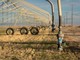 Crisi idrica, Confcooperative Piemonte: "Salvare i raccolti e aprire un tavolo permanente sull'acqua" Crisi idrica, Confcooperative Piemonte: "Salvare i raccolti e aprire un tavolo permanente sull'acqua"