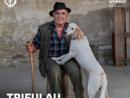 Copertina del podcast è una delle immagini del fotografo statunitense Steve McCurry, Realizzata per la mostra permanente “Truffle hunters and their dogs” del Mudet