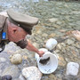 "L’immissione di trote iridee femmine salva la stagione della pesca in Granda" "L’immissione di trote iridee femmine salva la stagione della pesca in Granda"