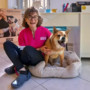 Cambiare rotta per ritrovare se stessi con professionalità e amore per gli animali Cambiare rotta per ritrovare se stessi con professionalità e amore per gli animali