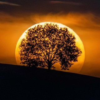 Il fenomeno ottico noto come illusione lunare (foto di Valerio Minato)