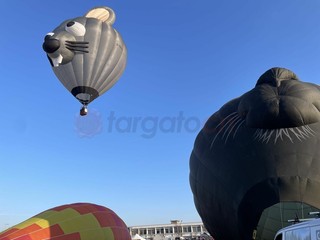 A Mondovì è tempo di volo per il 36° Raduno Aerostatico internazionale dell'Epifania A Mondovì è tempo di volo per il 36° Raduno Aerostatico internazionale dell'Epifania