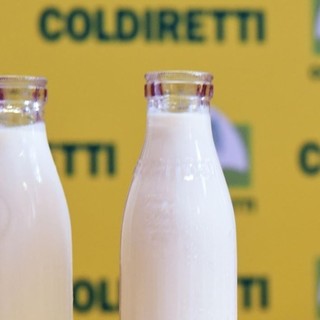 Latte, Coldiretti Cuneo: "L'agroindustria valorizzi le produzioni del territorio"
