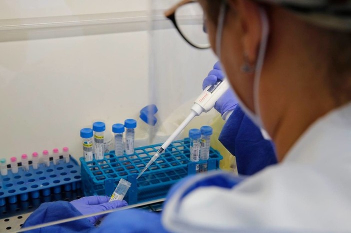 Hantavirus, inviate le indicazioni di sanità pubblica a ospedali e medici. Ma non c'è alcun allarme