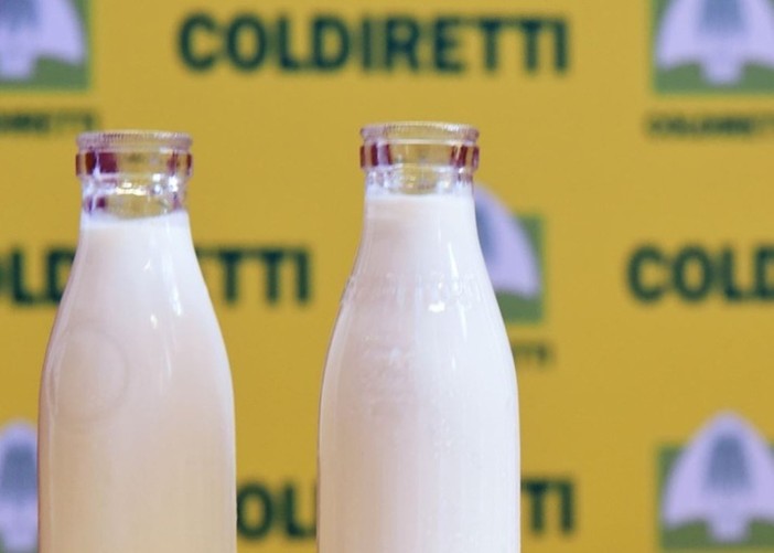 Latte, Coldiretti Cuneo: "L'agroindustria valorizzi le produzioni del territorio" Latte, Coldiretti Cuneo: "L'agroindustria valorizzi le produzioni del territorio"