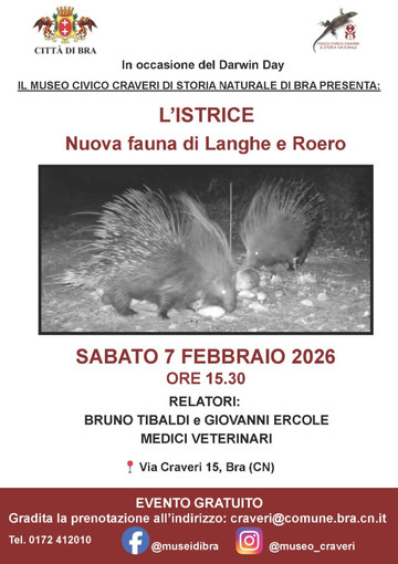“L’istrice. Nuova fauna di Langhe e Roero”: se ne parla al Museo Craveri di Bra