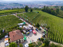Novità tecniche e prove in vigneto in località Altavilla ad Alba con Confagricoltura Cuneo Novità tecniche e prove in vigneto in località Altavilla ad Alba con Confagricoltura Cuneo