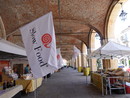Bra, si presenta il progetto “Coltiviamo il cibo e non sprechiamo” della Scuola dell'Infanzia Chiara Lubich Bra, si presenta il progetto “Coltiviamo il cibo e non sprechiamo” della Scuola dell'Infanzia Chiara Lubich
