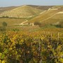 Dal Monferrato al Canton Ticino: il digitale cambia il modo di viaggiare e incontrarsi