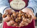 Bra, appuntamento con "Piazza Coldiretti, il buon cibo è di casa" Bra, appuntamento con "Piazza Coldiretti, il buon cibo è di casa"