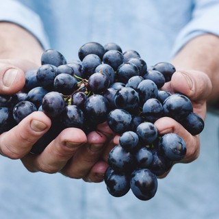 Crisi del vino, il grido dall'allarme della Cia: "La Regione difenda il prezzo delle uve per garantire dignità e futuro alle aziende e ai territori"