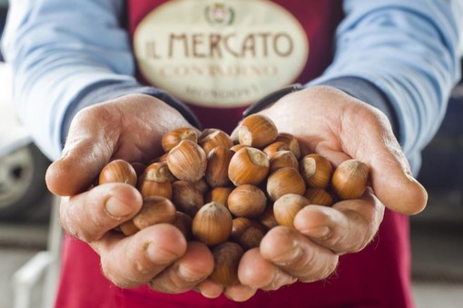 Bra, appuntamento con "Piazza Coldiretti, il buon cibo è di casa" Bra, appuntamento con "Piazza Coldiretti, il buon cibo è di casa"