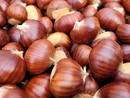 Autunno nel Cuneese tra sapori e misteri: in scena il Re Marrone e le Streghe [VIDEO]