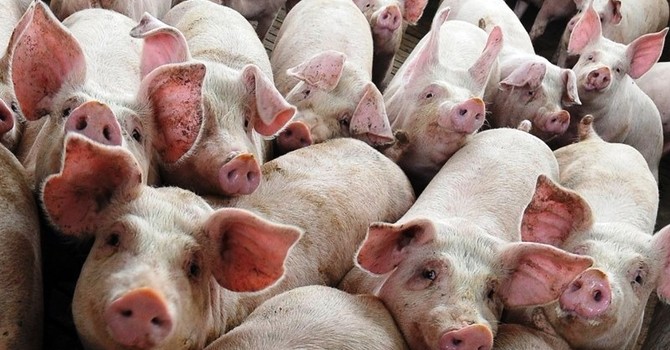 immagine di repertorio