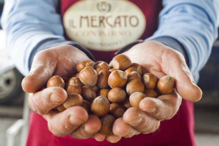 Bra, appuntamento con "Piazza Coldiretti, il buon cibo è di casa" Bra, appuntamento con "Piazza Coldiretti, il buon cibo è di casa"