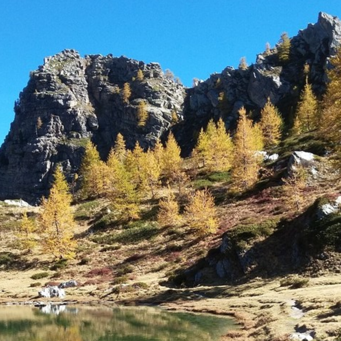 Immagine di repertorio Immagine di repertorio