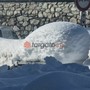 Limone Piemonte regina delle nevi: in località Alpetta Sole misurati 231 centimetri al suolo Limone Piemonte regina delle nevi: in località Alpetta Sole misurati 231 centimetri al suolo