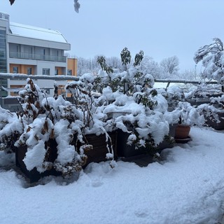 L'accumulo nevoso alla periferia di Cuneo