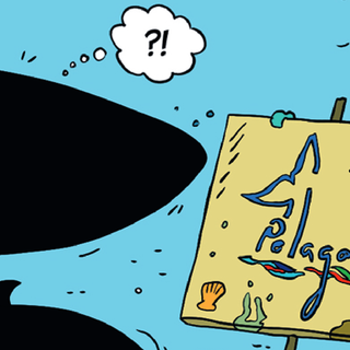 “Io sono Balenottera”: la balena parlante che racconta il Santuario Pelagos