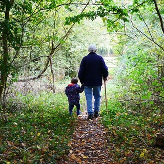 Quello che non ti aspetti: la Granda è una provincia per giovani. Meno per bambini e anziani