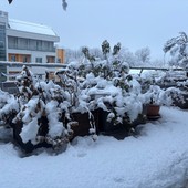 L'accumulo nevoso alla periferia di Cuneo L'accumulo nevoso alla periferia di Cuneo