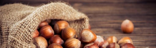 Dieci aziende rappresentano  il Distretto del Cibo del Roero  a Vinum 2026